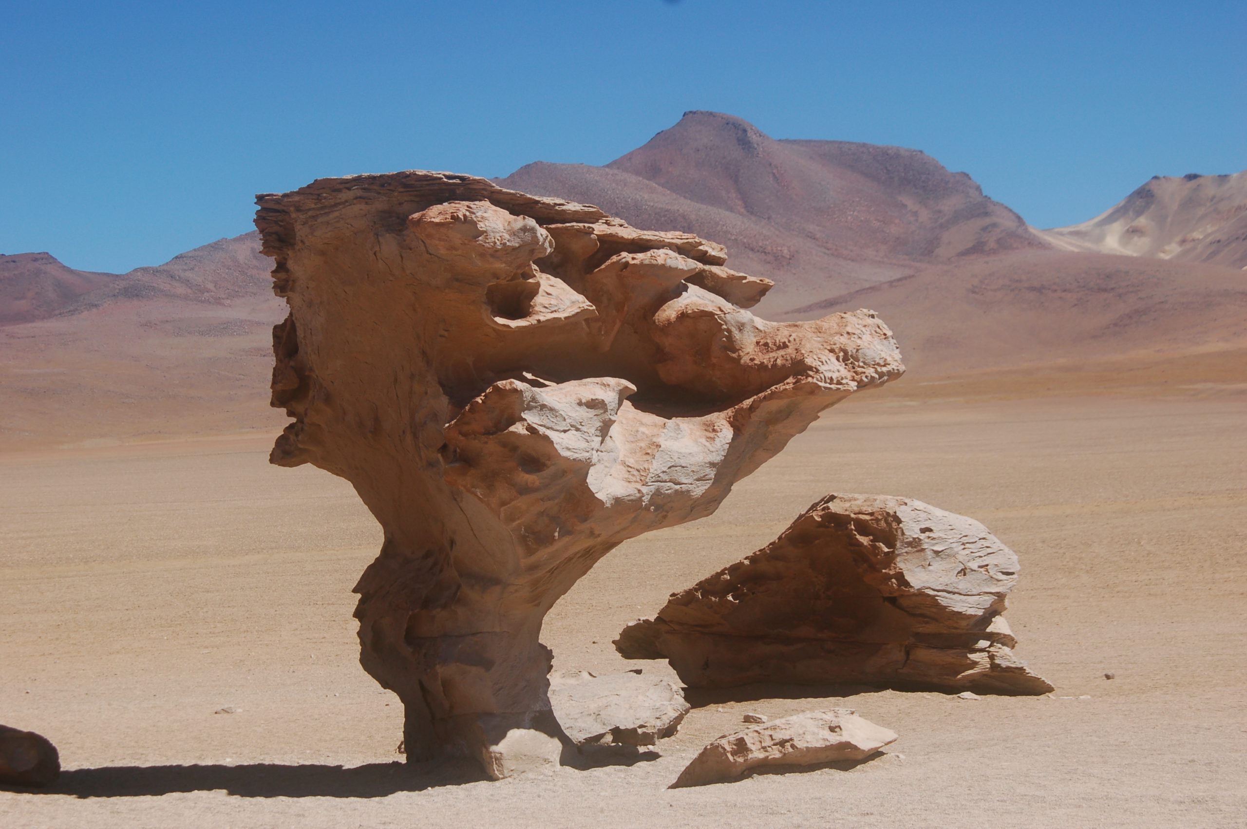 COPYRIGHT:  www.insolite-events.com